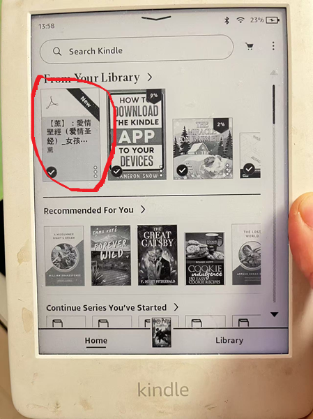 read pubu on kindle